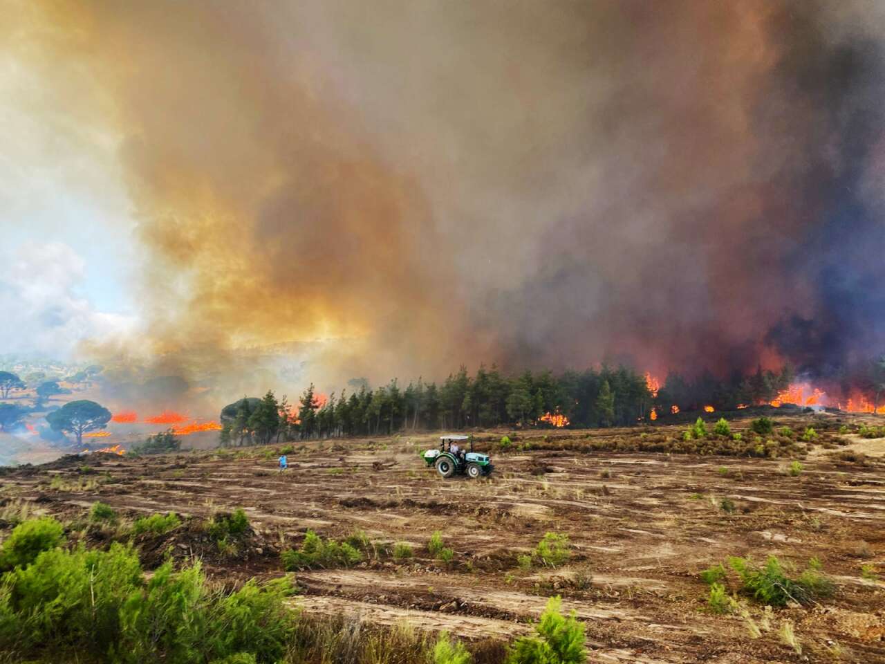 Muğla’da Orman Yangınlarının Acı Tablosu: 3 Yılda Yaklaşık 6 Bin Hektar Alan Kül Oldu 11